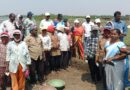 ఉపాధి హామీ పనులు పరిశీలించిన వరంగల్ పీడీ