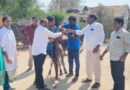 పశు సంపదే రైతు ఆర్థిక బలం : మార్కెట్ వైస్ చైర్మన్ కృష్ణారెడ్డి