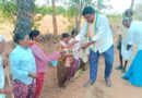ఉపాధి హామీ కూలీలకు మజ్జిగ పంపిణి