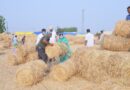 రాజన్న గోశాలలో శ్రమదానం..