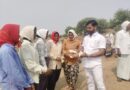 ఉపాధిహామీ కూలీలకు మజ్జిగ పంపిణీ