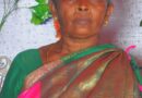 వడదెబ్బతో వృద్ధురాలు మృతి..