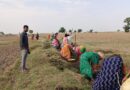గ్రామీణ ఉపాధికి వరంగా మారిన పథకం…