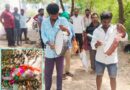 వానరానికి గ్రామస్థుల ఘన వీడ్కోలు