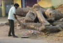 గ్రామ పారిశుధ్య కార్మికుడిగా మారిన సర్పంచ్..