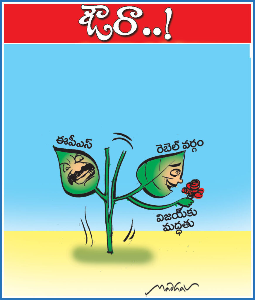 13thMayCartoon