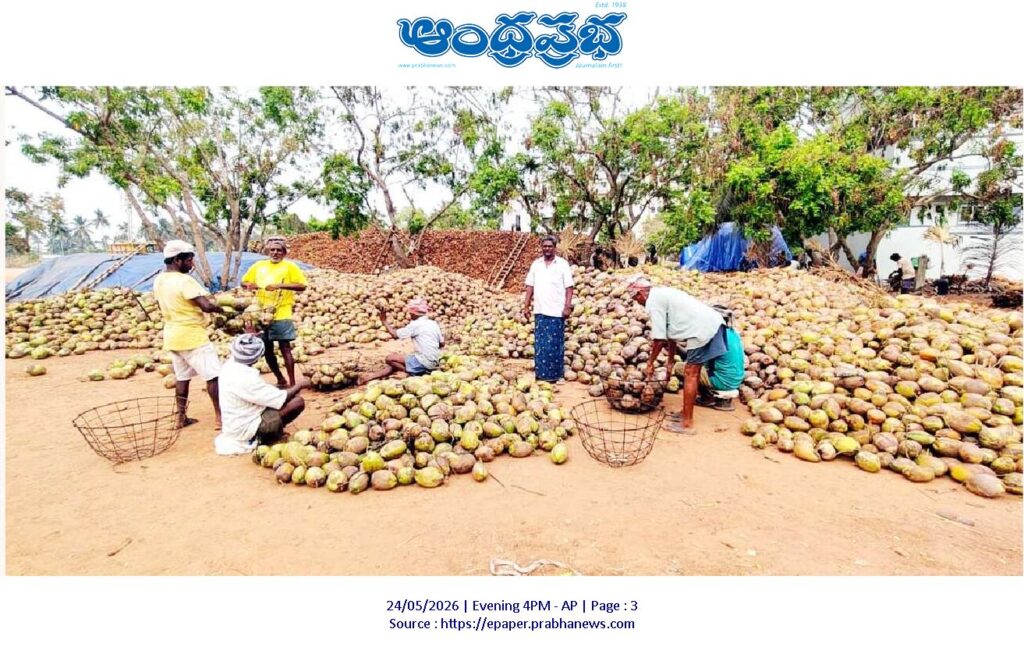 100 coconut trees |