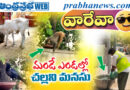 summer heat relief | దాహంతో అలమటిస్తున్న జీవాలకు జిల్లా యంత్రాంగం అండ