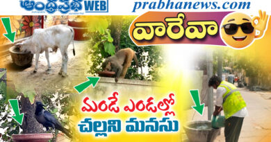 summer heat relief | దాహంతో అలమటిస్తున్న జీవాలకు జిల్లా యంత్రాంగం అండ summer heat relief | దాహంతో అలమటిస్తున్న జీవాలకు జిల్లా యంత్రాంగం అండ