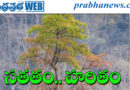 ప్రకృతి కాన్వాస్ పై కనువిందు