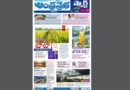 Andhra Prabha Smart Edition |TS|వరికి టాటా/నల్లగా ఉందని…