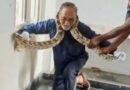 బాలికల వసతి గృహంలోకి కొండచిలువ..