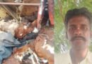 నల్లగొండ జిల్లాలో ఘోర రోడ్డు ప్రమాదం..