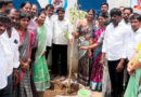 పచ్చదనం పెంపు ప్రతి ఒక్కరి బాధ్యత