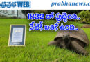 194years | ప్రపంచంలోనే అత్యంత వృద్ధ జీవి.. రికార్డులకెక్కింది