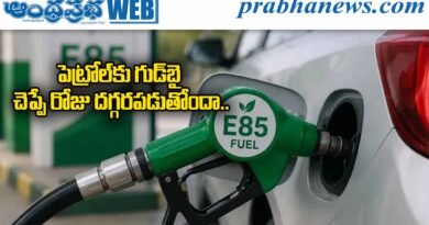 E85 Fuel | చౌకగా కనిపించే E85.. అసలు లెక్క తెలుసా?