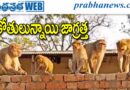 గ్రామాల్లో కోతుల హల్‌చల్.. బయటకు రావాలంటేనే భయం !