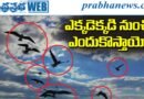Guess the Guests of This Season | కేరళలో తొలకరి జల్లులు.. తెలంగాణలో కిల‌కిల రాగాలు..
