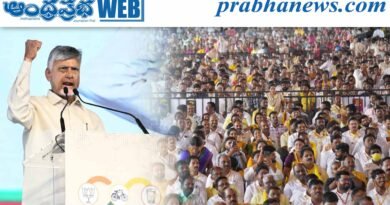 Photos | తిరుపతిలో ఎన్డీఏ కూటమి విజయోత్సవ సభ