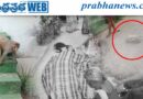 KNR | కోతుల కార‌ణంగా ప్రాణం బ‌లి…