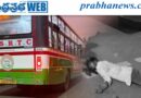 పెద్దపల్లిలో విషాదం..