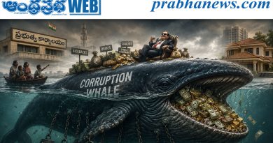 పెరుగుతున్న తిమింగలాల సంఖ్య !!