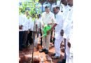 సీ ఫుడ్స్ ఎగుమతులకు కొత్త దిశ..