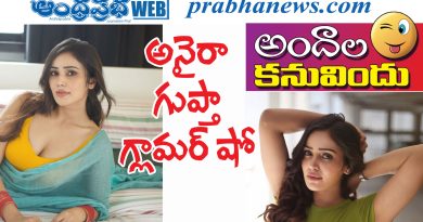 anaira gupta| తెలుగు, తమిళ సినిమాల్లో యువ నటి జోరు