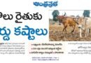 Tenant farmers Andhra Pradesh | ఖరీఫ్ సీజన్‌లో పెరిగిన సమస్యలు