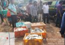 చేపల మార్కెట్‌లో దాగి ఉన్నదేమిటి?