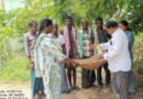 ఎల్‌నినో సవాళ్లను ఎదుర్కొనే దిశగా ప్రకృతి వ్యవసాయం..
