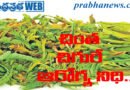 Tender Tamarind Leaves | చింత చిగురు తింటే.. ఈ చింతలన్నీ మాయం..!
