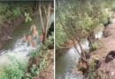 చెరువులలో కనీసం కంటే తక్కువ నీరు…..