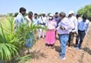 నీటి ప్రతి బొట్టు.. రైతుకు బంగారు భవిష్యత్తు!