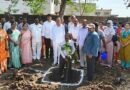 అనంత అరణ్యానికి శ్రీకారం..