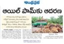 Oil Palm Cultivation | ఆయిల్ పామ్ సాగుపై రైతుల మక్కువ.. విస్తరిస్తున్న తోటలు