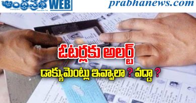 Voter Enumeration