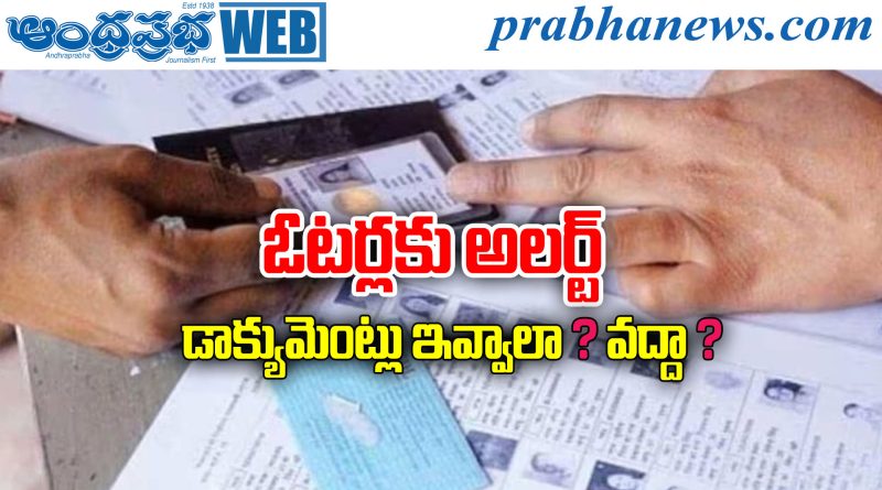 Voter Enumeration