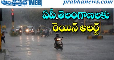 Rain Alert
