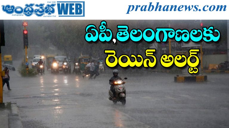 Rain Alert