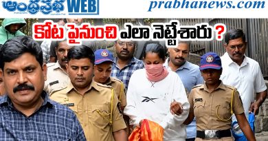 Murder Case
