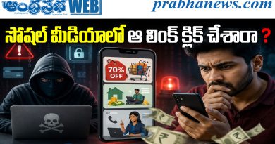 cyber fraud