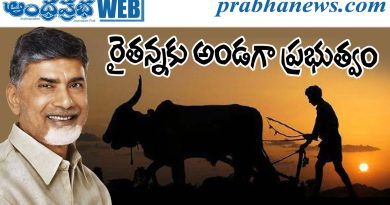 cm chandrababu