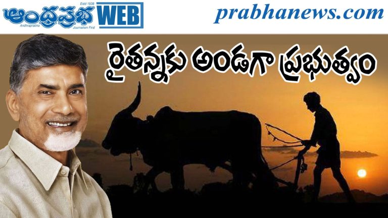 cm chandrababu