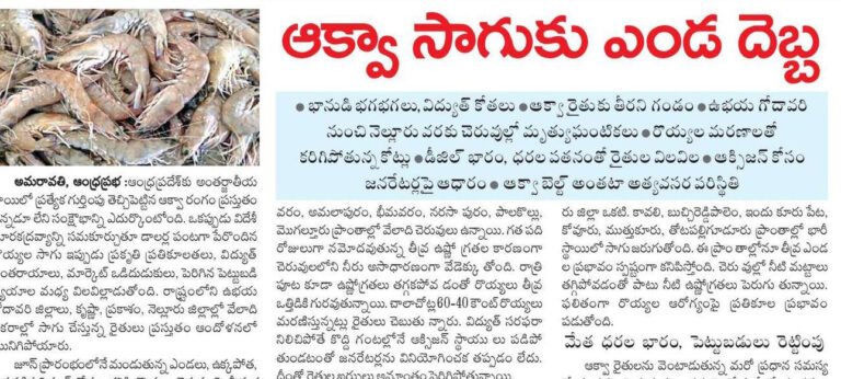 AP Aqua Farmers Crisis