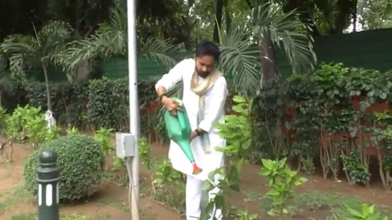 Plantation