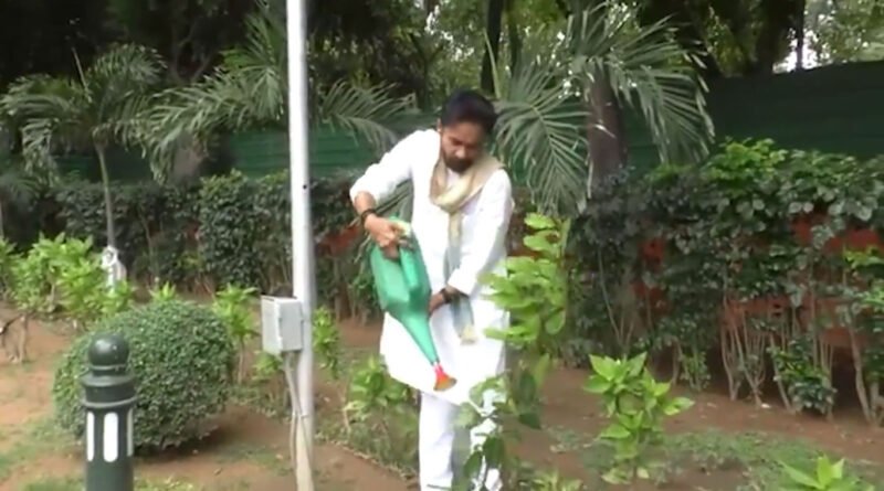 Plantation