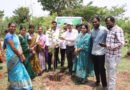 క్యాతనపల్లిలో పచ్చదనానికి పిలుపు.. మొక్కలు నాటిన చైర్‌పర్సన్ సంధ్యారాణి