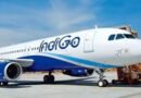 Indigo Flight