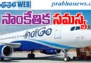 Indigo Flight